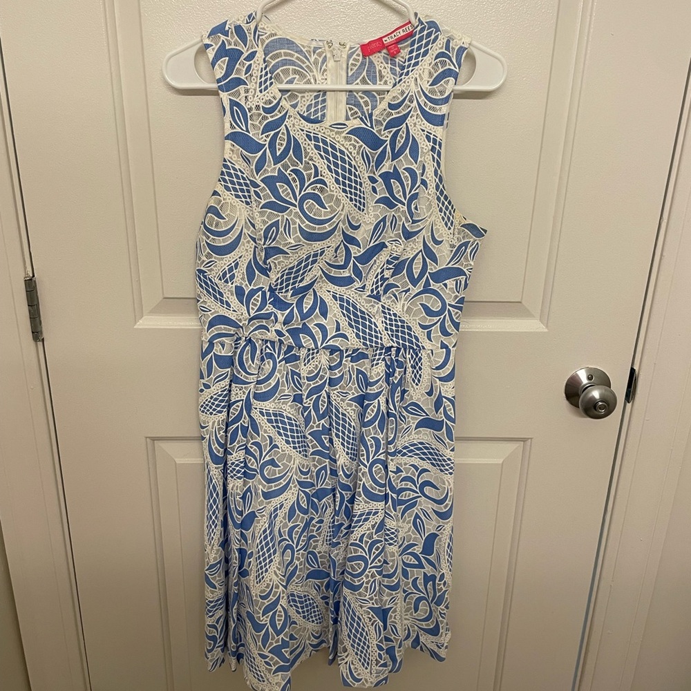 Blue/white lace dress